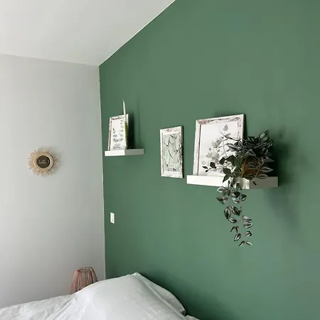 Eucalyptus Dans Maison Neuve Bazainville
