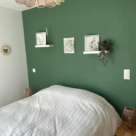 Eucalyptus Dans Maison Neuve
