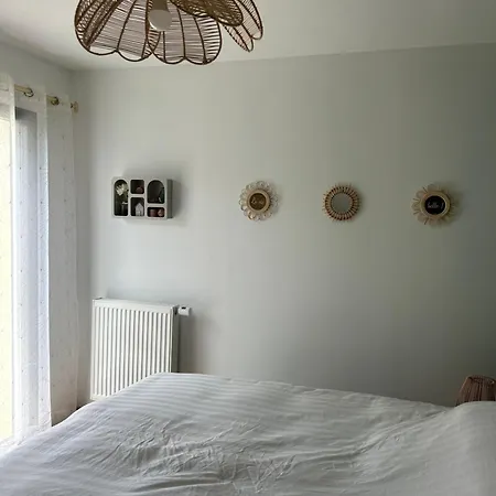 Eucalyptus Dans Maison Neuve